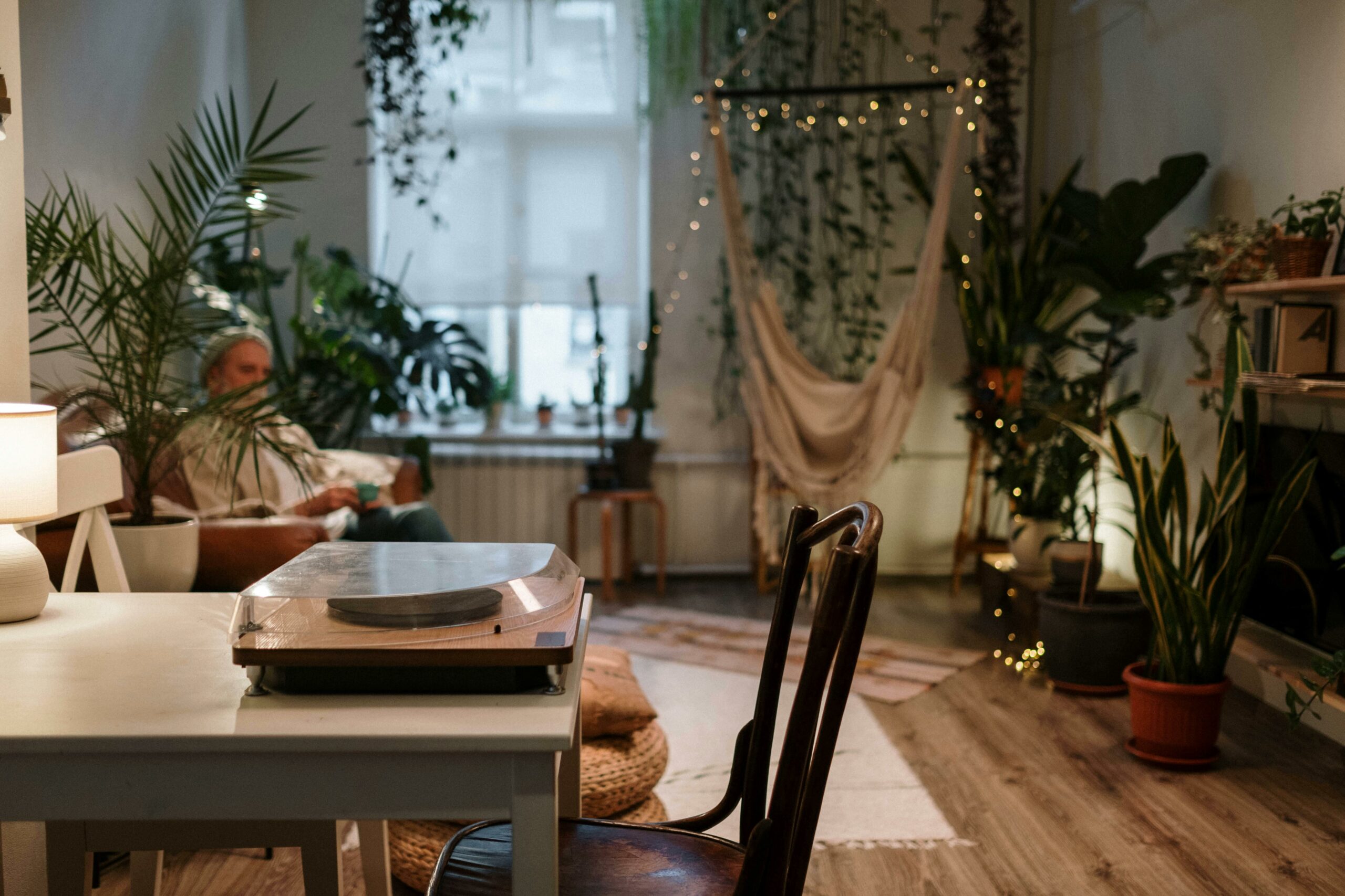 Plants That Enrich Your Space and Are Easy to Maintain Indoors